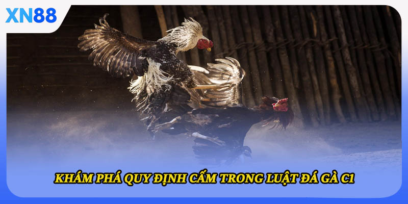 Khám phá quy định cấm trong luật đá gà C1